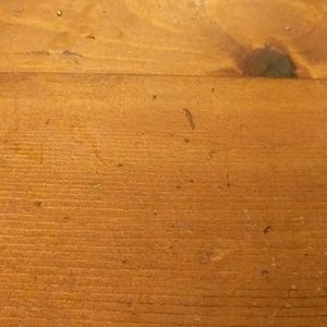 Meet your Posher, Detta